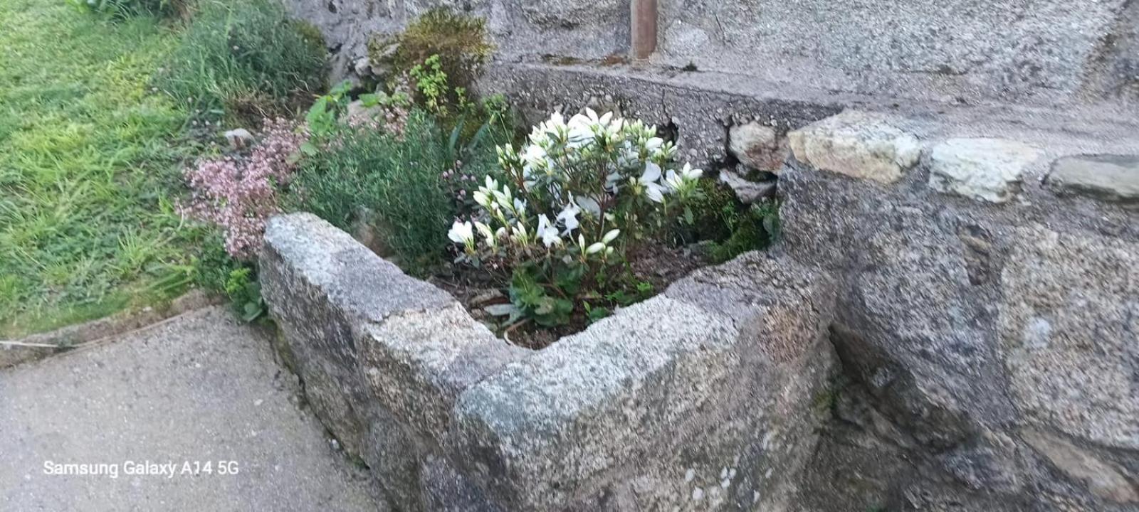 Villa Casa Da Fonte Pontevedra Zimmer foto